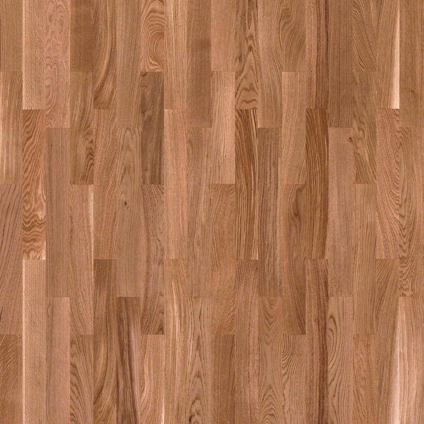 Hrast bakar