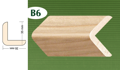 B6