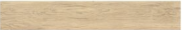 VECCHIO BEIGE 120X20