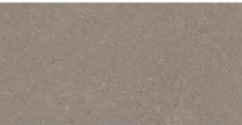PLOCICA NATURAL TAUPE 30X60