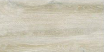 PLOČICA FOREST MAPLE 30X60 ZORKA ŠABAC